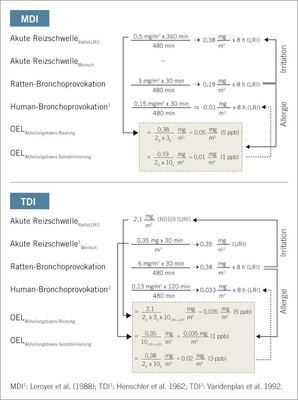 Speziesspezifische Ratte-zu-Mensch-Adjustierung von MDI-Aerosol und TDI-Dampf. Die Humandaten wurden ebenfalls auf den Arbeitstag adjustiert. MDI-Aerosol: Die Reizschwellendosis wurde nach 1-mal 6-stündiger Exposition in der Wistar-Ratte durch Analyse von Protein in der bronchoalveolären Lavageflüssigkeit ermittelt und auf einen 8-Stunden-Arbeitstag adjustiert. Die Schwellendosis für die Sensibilisierung wurde wie in Abb. 3 dargestellt errechnet und ebenfalls auf den Arbeitstag adjustiert. Bei Anwendung eines Dosimetriefaktors von 2D und einem Intraspezies-Empfindlichkeitsfaktor von 3S ergibt sich auf der Basis der akuten Reizschwelle der für MDI gültige Arbeitsplatzgrenzwert. Für Asthma wird ein Intraspezies-Empfindlichkeitsfaktor von 10S angewendet. TDI-Dampf: Die Reizschwellendosis wurde auf der Basis Reflexbradypnoe (10% Depression der Ventilation bei 2,1 mg/m³) abgeleitet. Die Auslöseschwelle wurde mit ca. 6 mg/m³ x 30 min berechnet und ebenfalls auf den Arbeitstag adjustiert. Nach Zeit- und Dosisadjustierung, einschließlich der Transposition der Reizlokalisation (x10URI–>LRI) und einem Intraspezies-Empfindlichkeitsfaktor für den jeweiligen Endpunkt ergibt sich ein Grenzwert von 0,035 mg/m³ (Reizung) bzw. 0,01 mg/m³ für die asthmaauslösende Wirkung

Fig. 5: Species-specific rat-to-human adjustment of MDI-aerosol and TDI-vapour. All human data were adjusted to an 8-hour work day. MDI-aerosol: The irritant threshold dose was calculated based on 1x6-hour exposure of Wistar rats and analysis of protein in bronchoalveolar lavage fluid (8-hour adjusted). The elicitation threshold dose was estimated as shown in Fig. 3 and adjusted to an 8-hour work day. When using a dosimetry factor of 2D and an intra-species susceptibility factor of 3S then the estimated irritation-based threshold is similar to the current workplace standard of MDI. For asthma an intra-species susceptibility factor of 10S is used. TDI-vapour: The irritation threshold was derived based on reflex-bradypnea (10% depression of ventilation at 2.1 mg/m³). The elicitation threshold was estimated to be 6 mg/m³ x 30 min and adjusted for the 8-hour work day. Following time, dose and location of irritation (x10URI–>LRI) adjustments as well as intra-species susceptibility factors for the respective endpoint threshold doses of 0.035 mg/m³ (irritation) and 0.01 mg/m³ elicitation of asthma were derived