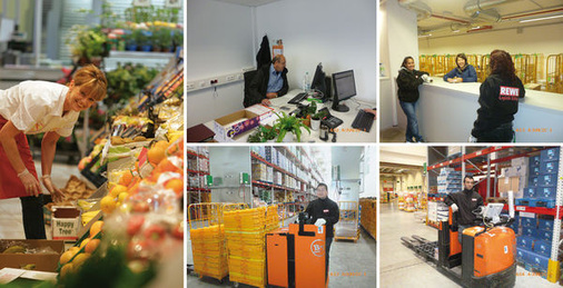 
Im Allgemeinen wird mit dem Namen REWE die deutschlandweit vertretene Supermarktkette assoziiert, doch nimmt in der REWE-Group gerade auch die Logistiksparte mit den damit verbundenen Tätigkeiten einen breiten Raum ein
