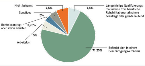 
 Abb. 4: 
 Outcomes der Befragten nach Abschluss der beruflichen Begleitung, NEA-Datensatz, n = 80
