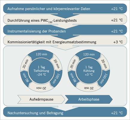 
 Abb. 1: 
 Schematische Darstellung des Versuchsablaufs


