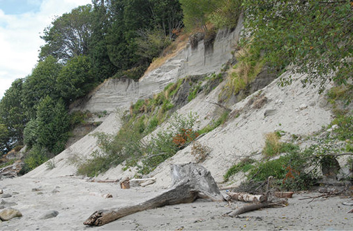 
 Abb. 1: 
 Die ca. 25 m hohe Steilküste unterhalb der University of British Columbia (UBC, Vancouver, Canada) lässt bei Flut nur wenig Platz für den beliebten Strand „Wreck Beach“ (Foto: T. Küpper, 2013)


