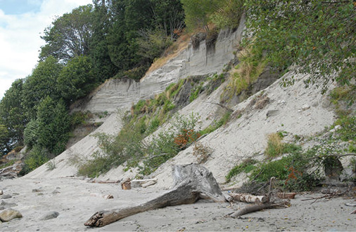 <p>
 Abb. 1: 
 Die ca. 25 m hohe Steilküste unterhalb der University of British Columbia (UBC, Vancouver, Canada) lässt bei Flut nur wenig Platz für den beliebten Strand „Wreck Beach“ (Foto: T. Küpper, 2013)
</p>
<p class="GVBildunterschriftEnglisch">
</p>