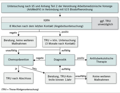
 Abb. 2: 
 Ablaufschema der Untersuchung von Beschäftigten nach engem Tuberkulosekontakt (mod. nach Nienhaus et al. 2012)
