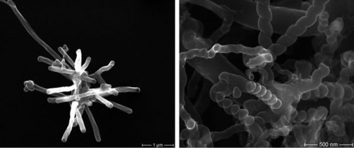 
 Abb. 2: 
 Faserförmige Nanomaterialien – CarbonNanoTubes (CNT) auf der linken Seite und CarbonNanoFasern (CNF) auf der rechten Seite


