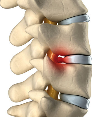 
Das Alter allein ist offenbar nicht zwingend die Ursache einer Degeneration der Organsysteme
