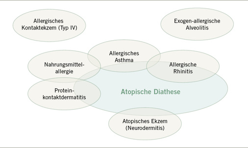<p>
<span class="GVSpitzmarke"> Abb. 3: </span>
 Erkrankung mit und ohne Beziehung zur atopischen Diathese
</p>