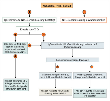 
 Abb. 3: 
 Diagnostischer Algorithmus bei Verdacht auf Latexallergie bzw. bei polysensibilisierten Patienten mit positivem Latex-IgE (CCDs = cross-reactive carbohydrate determinants“/kreuzreaktive Kohlenhydratdeterminanten) (mod. in Anlehnung an Raulf-Heimsoth u. Rihs 2011)



