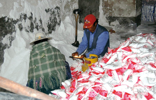 <p>
<span class="GVSpitzmarke"> Abb. 2: </span>
 Informeller Arbeitsplatz am Rande der Salar de Uyuni, Bolivien: Salz aus der größten Salzpfanne der Welt wird zum Verkauf in Tüten verpackt. (Foto: K. Radon)
</p>

<p class="GVBildunterschriftEnglisch">
</p>