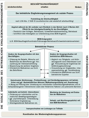 
 Abb. 1: 
 Das Betriebliche Eingliederungsmanagement als sozialer Prozess
