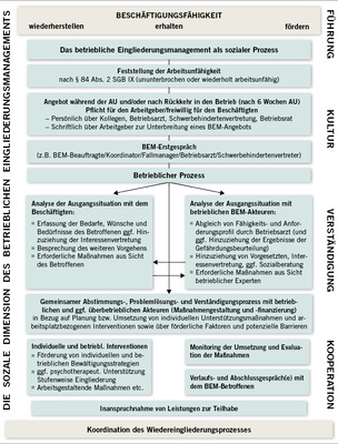 <p>
<span class="GVSpitzmarke"> Abb. 1: </span>
 Das Betriebliche Eingliederungsmanagement als sozialer Prozess
</p>