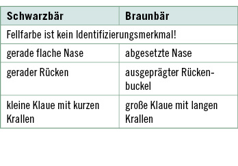 <p>
<span class="GVSpitzmarke"> Tabelle 4: </span>
 Unterscheidungsmerkmale von Schwarz- und Braunbären
</p>