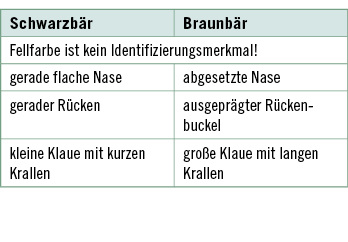 
 Tabelle 4: 
 Unterscheidungsmerkmale von Schwarz- und Braunbären
