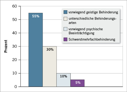 
 Abb. 2: 
 Unterscheidung der Einrichtungen nach der Art der Behinderung der dort betreuten Menschen [n = 20]



