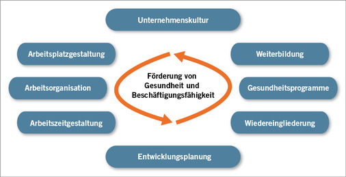 
 Abb. 5: 
 Handlungsansätze für eine altersgerechte gesundheitsfördernde Arbeits- und Personalpolitik (Quelle: modifiziert nach BKK. Beschäftigungsfähigkeit erhalten. Strategien und Instrumente für ein langes gesundes Arbeitsleben (BKK Bundesverband, 2007, Abb. 5)



