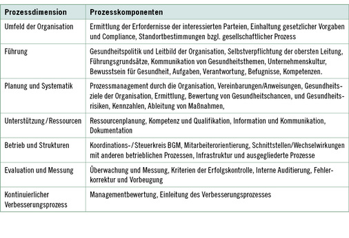 
 Tabelle 1: 
 Prozessdimensionen und -komponenten des TÜV Rheinland BGM-Reifegradmodells
