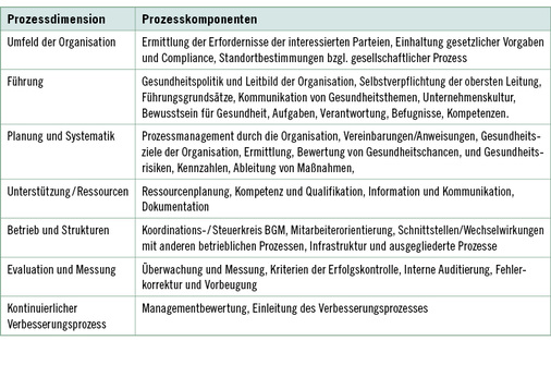 <p>
<span class="GVSpitzmarke"> Tabelle 1: </span>
 Prozessdimensionen und -komponenten des TÜV Rheinland BGM-Reifegradmodells
</p>