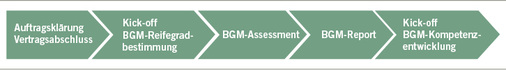 <p>
<span class="GVSpitzmarke"> Abb. 1: </span>
 Ergebnisse eines BGM-Assessments mit dem TÜV Rheinland BGM Reifegradmodell (Überblick Prozessdimensionen)
</p>