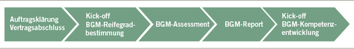 
 Abb. 1: 
 Ergebnisse eines BGM-Assessments mit dem TÜV Rheinland BGM Reifegradmodell (Überblick Prozessdimensionen)
