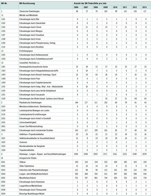 <p>
<span class="GVSpitzmarke"> Tabelle 1: </span>
 Berufskrankheiten-Todesfälle von 2006 bis 2013 (vgl. Müsch 2015)
</p>