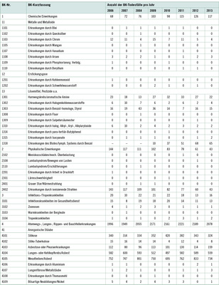 
 Tabelle 1: 
 Berufskrankheiten-Todesfälle von 2006 bis 2013 (vgl. Müsch 2015)

