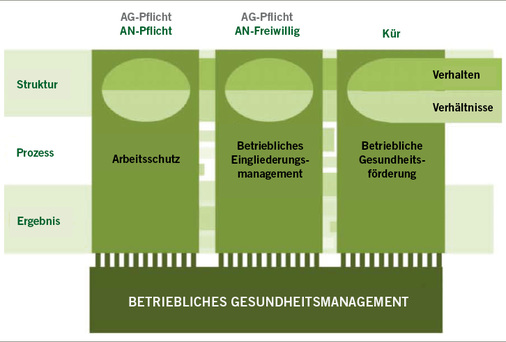 <p>
<span class="GVSpitzmarke"> Abb. 5: </span>
 Das Betriebliche Gesundheitsmanagement mit den Handlungsfeldern Arbeitsschutz, BEM und Gesundheitsförderung (Giesert 2012)
</p>