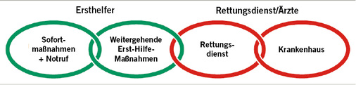 
 Abb. 1: 
 Rettungskette nach einem Unfall
