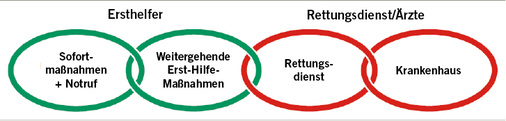 <p>
<span class="GVSpitzmarke"> Abb. 1: </span>
 Rettungskette nach einem Unfall
</p>