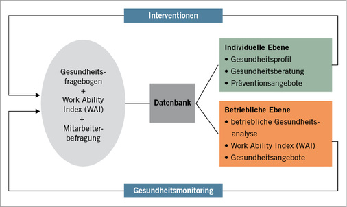 
 Abb. 1: 
 Aufbau des online-gestützten BGM-Profils



