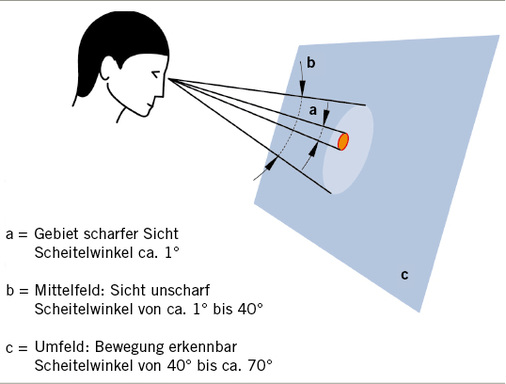 
 Abb. 4: 
 Schematische Darstellung des zentralen und peripheren Sehens
