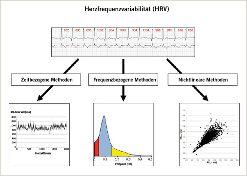 <p>
<span class="GVSpitzmarke"> Abb. 3: </span>
 Übersicht über die Möglichkeiten der HRV-Analyse mit Beispielen möglichen grafischen Dar-stellungen
</p>