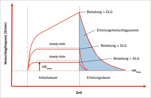
 Abb. 4: 
 Herzschlagfrequenzverläufe bei unterschiedlichen Belastungen (unterhalb bzw. oberhalb der DLG sowie im Bereich der DLG) mit jeweiliger Erholungsphase. Schematische Darstellung, modifiziert nach Müller [185]. DLG = Dauerleistungsgrenze
