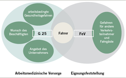 
 Abb. 2: 
 Fahrtätigkeiten im öffentlichen Straßenverkehr. Quelle: eigene Grafik

