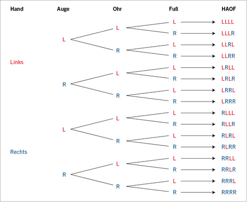 
 Abb. 2: 
 Lateralitätsgruppen eindeutiger Seitenbevorzugung HAOF (= Seitenbevorzugungen von Hand – Auge – Ohr – Fuß); L = links; R = rechts (ohne ambilateral)
