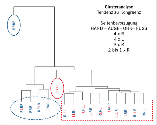 
 Abb. 3: 
 Dendrogramm der Clusteranalyse der eindeutigen Lateralitätskombinationen HAOF nach Differenz zwischen tatsächlicher und theoretisch (bei Annahme der Unabhängigkeit der Merkmale) zu erwartender Häufigkeit (n = 2366). Die jeweilige Umrandung hebt die vier Hauptgruppierungen hervor (4 Merkmale rechts; 4 Merkmale links; 3 Merkmale rechts
