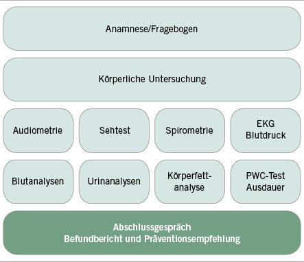 <p>
<span class="GVSpitzmarke"> Abb. 4: </span>
 Gliederung der Check-up-Untersuchung
</p>