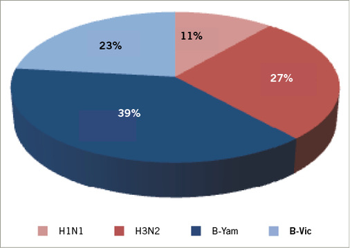 
 Abb. 3: 
 Influenzavirustypen in Australien (Influenzasaison 2015)
