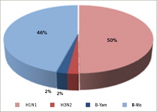 
 Abb. 4: 
 Influenzavirustypen in Deutschland [3]
