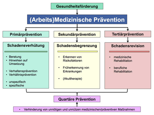 
 Abb. 1: 
 Bereiche der (arbeits-)medizinischen Prävention (modifiziert nach Letzel u. Nowak 2007)
