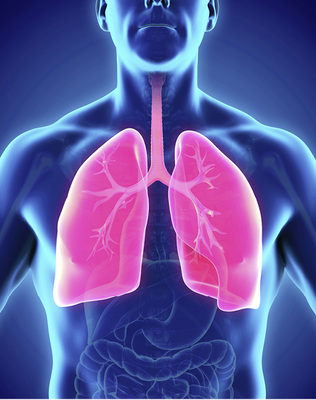 



Pneumologische Krankheitsbilder werden bei klinischen Fortbildungsveranstaltungen leider oft nur marginal als Berufskrankheiten behandelt.
