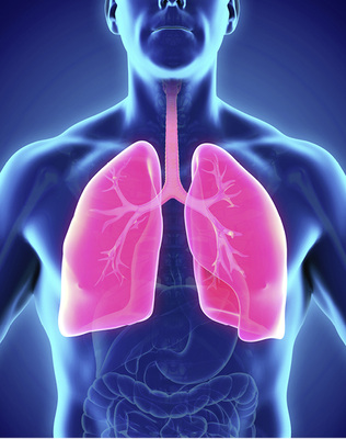 <p>
</p>

<p>
Pneumologische Krankheitsbilder werden bei klinischen Fortbildungsveranstaltungen leider oft nur marginal als Berufskrankheiten behandelt.
</p> - © Nerthuz / Thinkstock

