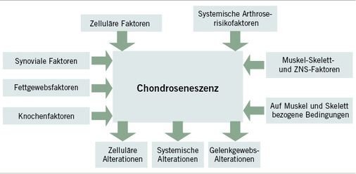 <p>
<span class="GVSpitzmarke"> Abb. 1: </span>
 „Chondroseneszenz“ – wichtigste Prozesse der Alterung des Knorpels (aus Mobasheri et al. 2015)
</p>