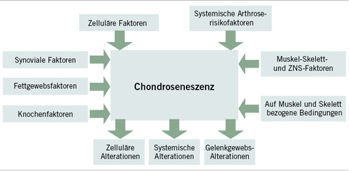 
 Abb. 1: 
 „Chondroseneszenz“ – wichtigste Prozesse der Alterung des Knorpels (aus Mobasheri et al. 2015)
