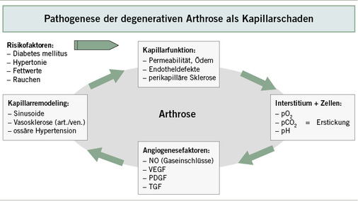 
 Abb. 2: 
 Circulus vitiosus der degenerativen Arthrose über die Faktoren des Metabolischen Syndroms mit Kapillarschaden in der Subchondralregion
