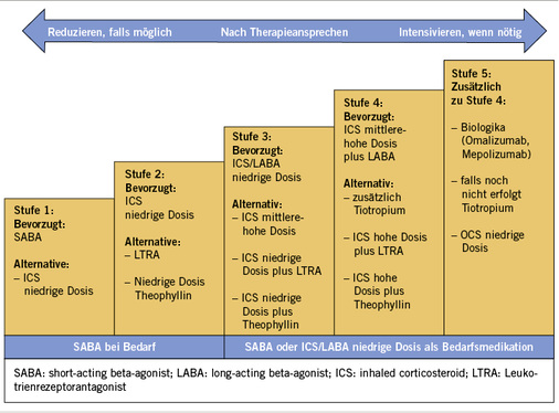 
 Abb. 3: 
 Medikamentöse Langzeittherapie des Asthmas bei Erwachsenen und Kindern > 12 Jahre. Modifiziert nach GINA 2016

