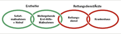 
 Abb. 2: 
 Rettungskette
