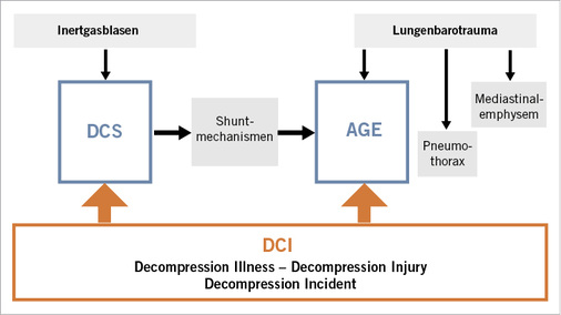 
 Abb. 1: 
 Systematik der Tauchunfälle
