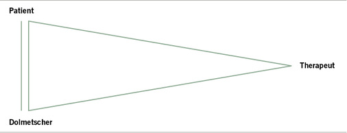 <p>
<span class="GVSpitzmarke"> Abb. 2: </span>
 Schematische Darstellung der Beziehungskonfiguration aus Fallvignette I und II
</p>
