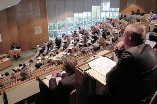 
Thema des diesjährigen „Heidelberger Gesprächs“ war die Begutachtung von Menschen nach Flucht und Migration
