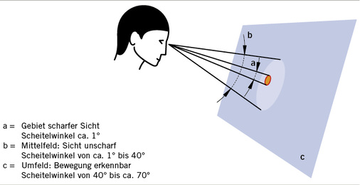 <p>
<span class="GVSpitzmarke"> Abb. 4: </span>
 Schematische Darstellung des zentralen und peripheren Sehens
</p>