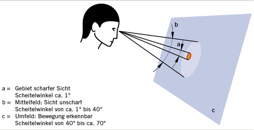 
 Abb. 4: 
 Schematische Darstellung des zentralen und peripheren Sehens
